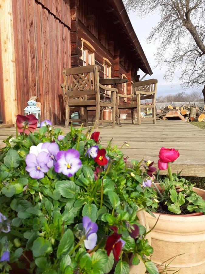 Liljas Haus Im Spreewald Διαμέρισμα Burg  Εξωτερικό φωτογραφία