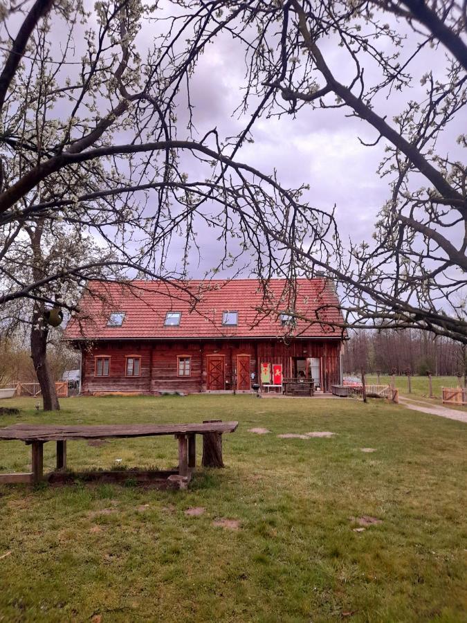 Liljas Haus Im Spreewald Διαμέρισμα Burg  Εξωτερικό φωτογραφία