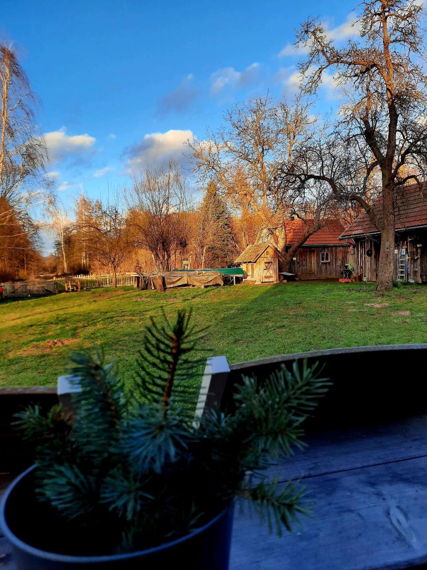 Liljas Haus Im Spreewald Διαμέρισμα Burg  Εξωτερικό φωτογραφία