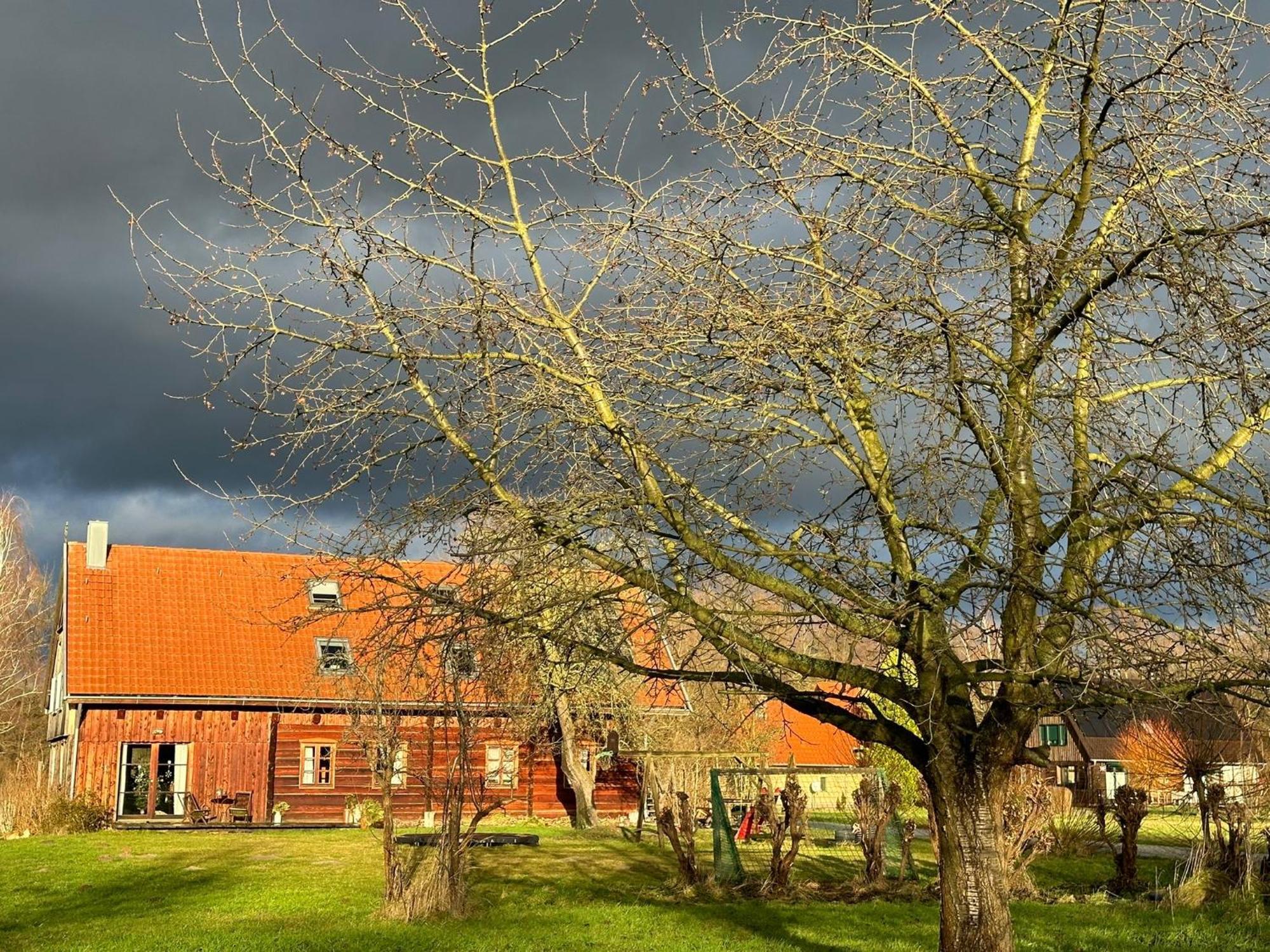 Liljas Haus Im Spreewald Διαμέρισμα Burg  Εξωτερικό φωτογραφία