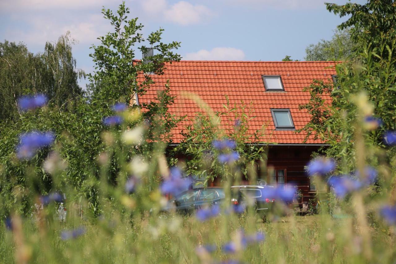 Liljas Haus Im Spreewald Διαμέρισμα Burg  Εξωτερικό φωτογραφία